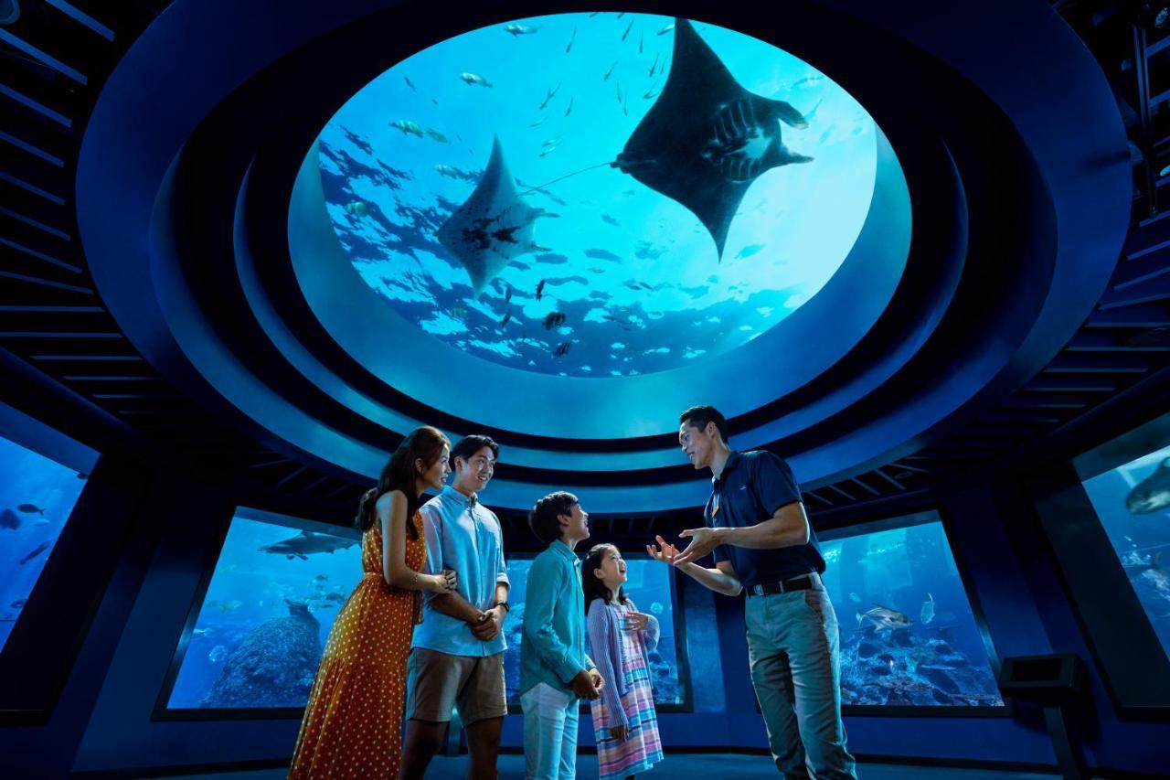Resorts World Sentosa - Hotel Singapore Exterior photo The Lost Chambers Aquarium