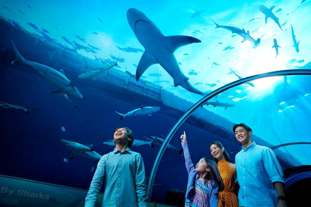 Resorts World Sentosa - Hotel Singapore Exterior photo The Lost Chambers Aquarium