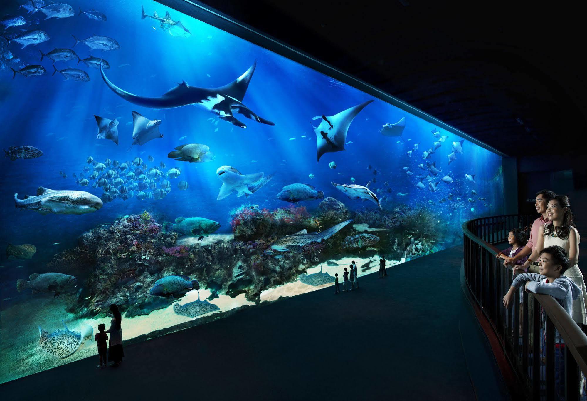 Resorts World Sentosa - Hotel Singapore Exterior photo The open ocean exhibit